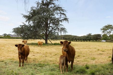 Photo of property in 330a Pencarrow Road, Tamahere, Hamilton, 3283