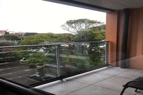 Photo of property in 502/10 Lion Place, Epsom, Auckland, 1023