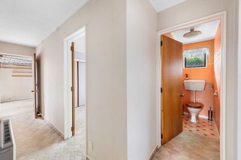 Photo of property in 115 Broughton Street, Gore, 9710