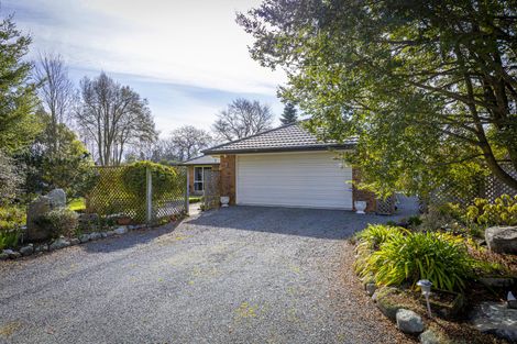 Photo of property in 36 Tancred Street, Geraldine, 7930