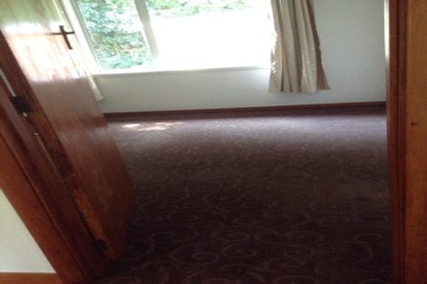 Photo of property in 3 Avon Street, Roslyn, Dunedin, 9010