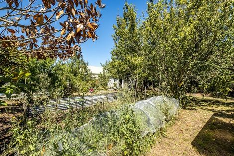 Photo of property in 3 Stock Road, Culverden, 7392