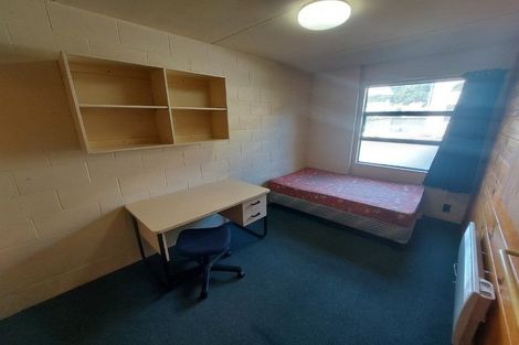 Photo of property in Te Awhina Apartments, 19/22 Sussex Street, Mount Cook, Wellington, 6021