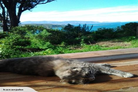 Photo of property in 32 Carlton Street, Melrose, Wellington, 6023