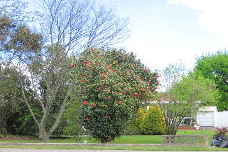 Photo of property in 21 Koha Road, Taupo, 3330