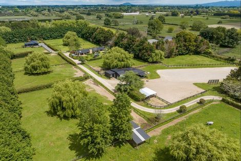 Photo of property in 191 Hautapu Road, Pukemoremore, Cambridge, 3493