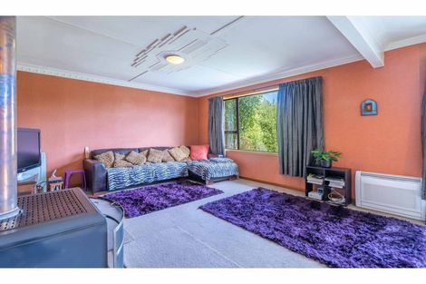 Photo of property in 27 Carlyle Street, Mataura, 9712