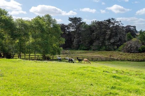 Photo of property in 224b Bawden Road, Dairy Flat, Albany, 0792