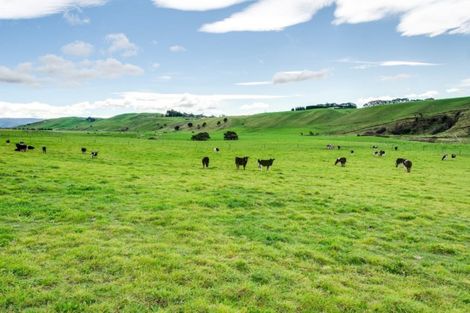 Photo of property in 1025 Aorangi Road, Maraekakaho, Hastings, 4171