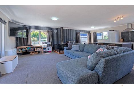 Photo of property in 32 Totara Street, Pleasant Point, 7903