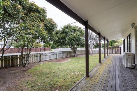 Photo of property in 249 Cambridge Avenue, Ashhurst, 4810