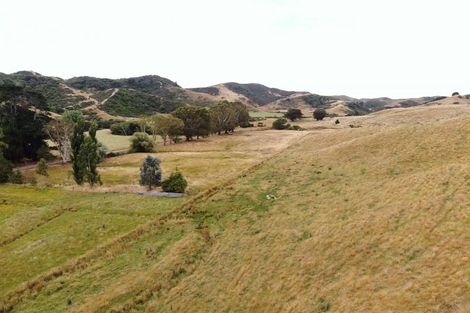 Photo of property in 134 Bowen Road, Eketahuna, 4994