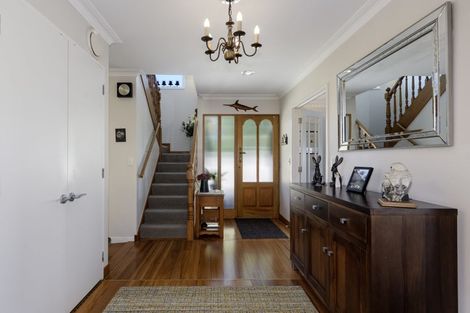 Photo of property in 11 Laing Place, Otumoetai, Tauranga, 3110