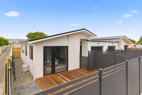 Photo of property in 1/17 Clark Street, Levin, 5510