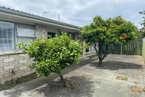 Photo of property in 3/31 Middle Road, Havelock North, 4130