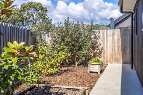 Photo of property in 17 Kaiwaru Place, Waikanae, 5036