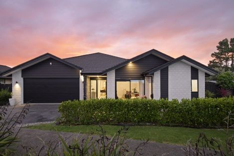 Photo of property in 29 Walter Lawry Road, Paerata, Pukekohe, 2124