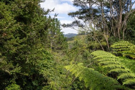 Photo of property in 110a Waipa Heights Road, Ngaruawahia, 3793