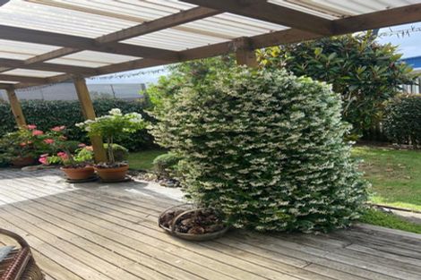 Photo of property in 1b Tudor Grove, Whitianga, 3510