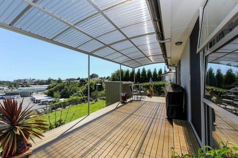 Photo of property in 180 Tukapa Street, Westown, New Plymouth, 4310