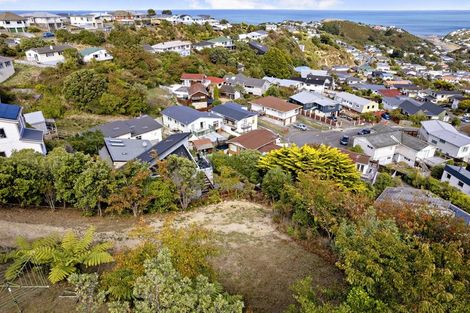 Photo of property in 68a Buckley Road, Southgate, Wellington, 6023