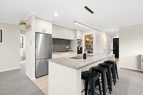 Photo of property in 263 Dixon Road, Fitzroy, Hamilton, 3206