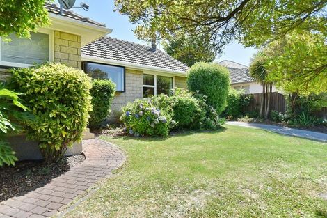 Photo of property in 29 Harling Avenue, Hillmorton, Christchurch, 8025
