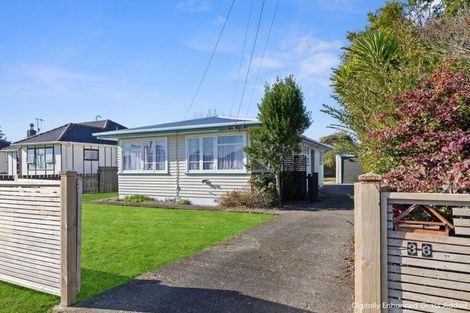 Photo of property in 36 Bowen Street, Levin, 5510