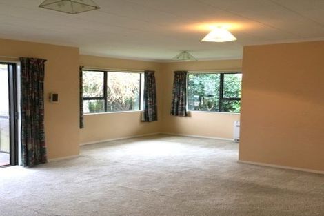 Photo of property in 23a Talbot Street, Richmond, 7020