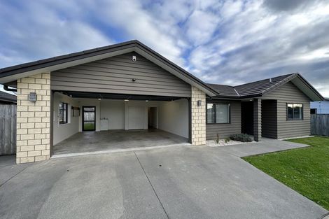 Photo of property in 147 Duke Street, Dinsdale, Hamilton, 3204