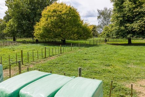 Photo of property in 59 Fuchsia Lane, Tamahere, Hamilton, 3284