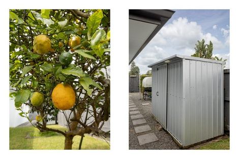 Photo of property in 14 Glenmonarch Place, Pyes Pa, Tauranga, 3112