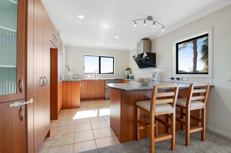 Photo of property in 19 Black Teal Close, Unsworth Heights, Auckland, 0632