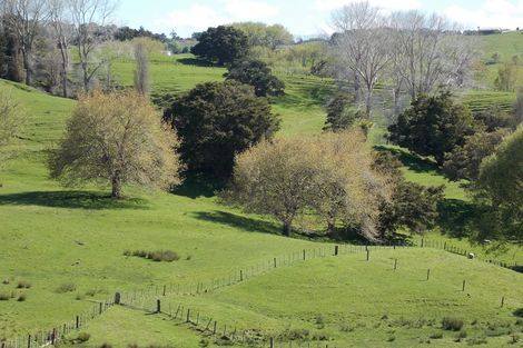 Photo of property in 87 Hurndall Street East, Maungaturoto, 0520