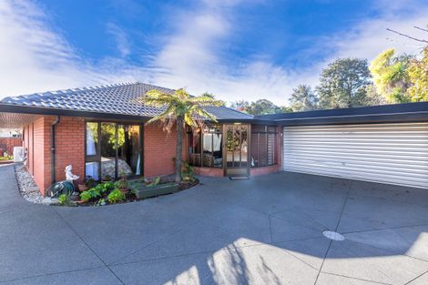 Photo of property in 7 Molesworth Place, Somerfield, Christchurch, 8024