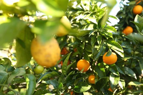 Photo of property in 202-206 Tapuhi Road, Hukerenui, Hikurangi, 0182