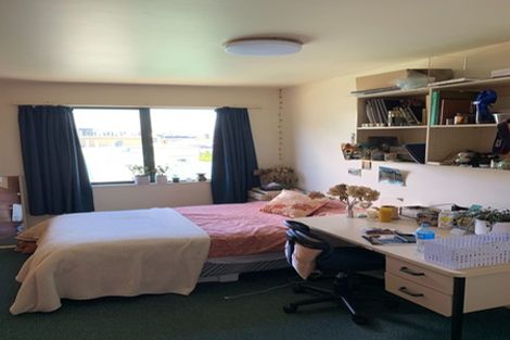 Photo of property in Te Awhina Apartments, 14/22 Sussex Street, Mount Cook, Wellington, 6021