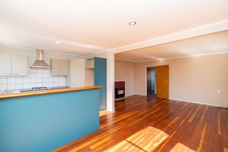 Photo of property in 100 Lewis Street, Glenview, Hamilton, 3206