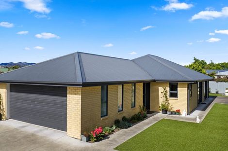 Photo of property in 30 Howick Road, Redwoodtown, Blenheim, 7201