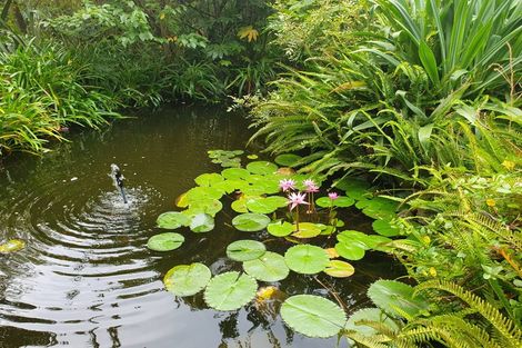 Photo of property in 61 Gilchrist Street, Te Aroha, 3320