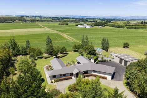 Photo of property in 572 Taonui Road, Colyton, Feilding, 4775