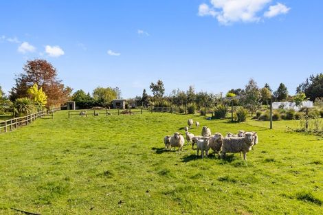 Photo of property in 10 Donald Street, Temuka, 7920