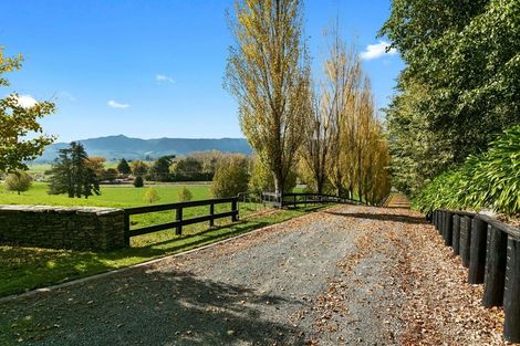 Photo of property in 248 Te Poi Road South, Te Poi, Matamata, 3473