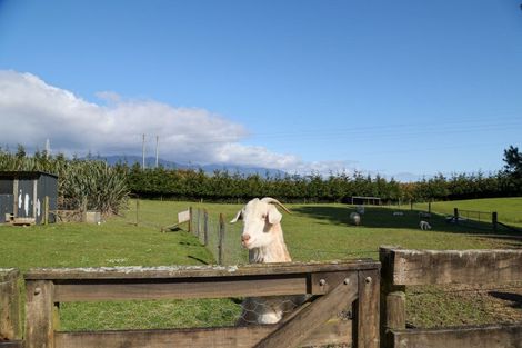 Photo of property in 103 Alma Road, Westport, 7892