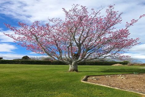Photo of property in 4 Grenadier Lane, Waihi, 3610