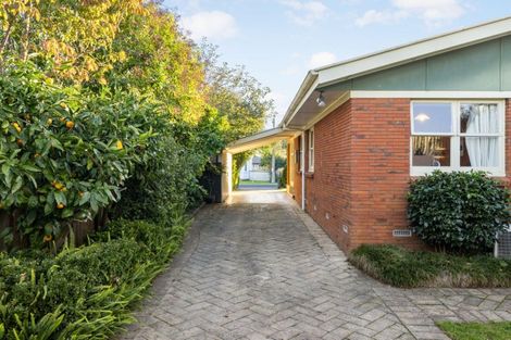 Photo of property in 37 Stafford Street, Cambridge, 3434