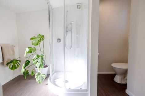 Photo of property in 150 Stafford Street, Hokitika, 7810