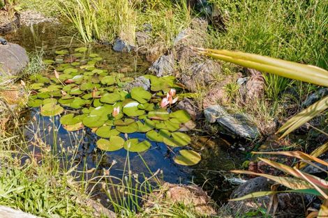 Photo of property in 38 Upland Road, Huia, Auckland, 0604