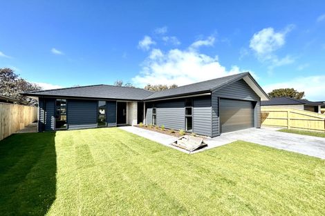 Photo of property in 42 Tawhero Street, Gonville, Whanganui, 4501