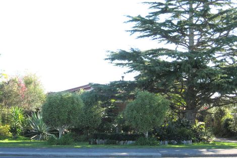 Photo of property in 131 Dominion Road, Papakura, 2110